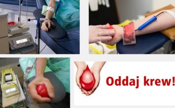 oddawanie krwi 1.jpg